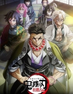 Demon Slayer: Kimetsu no Yaiba Hashira Training Arc