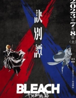 Bleach: Thousand-Year Blood War - The Separation
