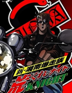Shin Shounan Bakusouzoku Arakure Knight