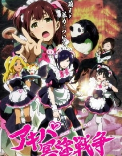 Akiba Maid War