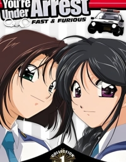 You're Under Arrest: Fast & Furious