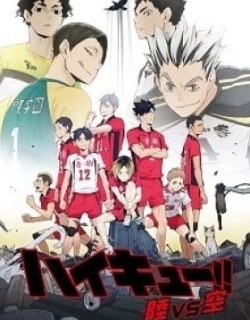 Haikyu!! Land vs. Air