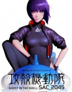 Ghost in the Shell: SAC_2045