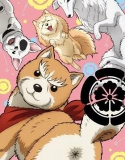Oda Cinnamon Nobunaga