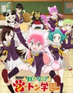 Seton Academy: Join the Pack!