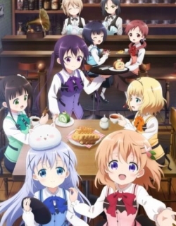 Is the Order a Rabbit? Bloom