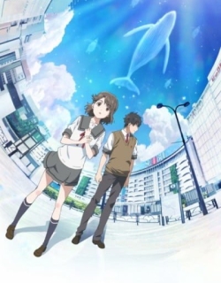 Over the Sky