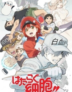 Cells at Work!!