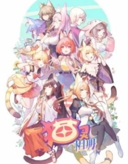 Neko Album