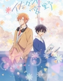 Sasaki and Miyano