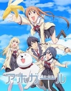 AHO-GIRL