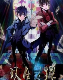 Twin Spirit Detectives