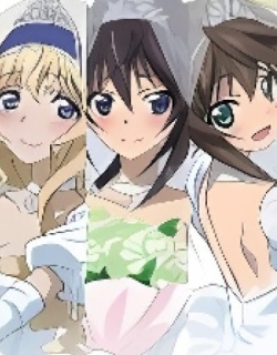 IS: Infinite Stratos 2 - Infinite Wedding